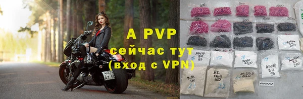 шишки Татарск