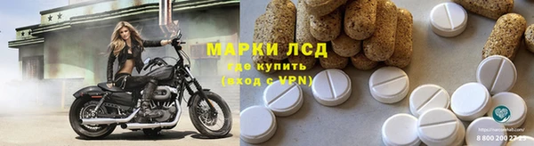 эйфоретик Чегем