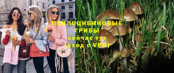 шишки Татарск