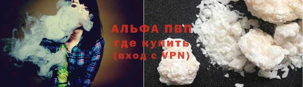 эйфоретик Чегем
