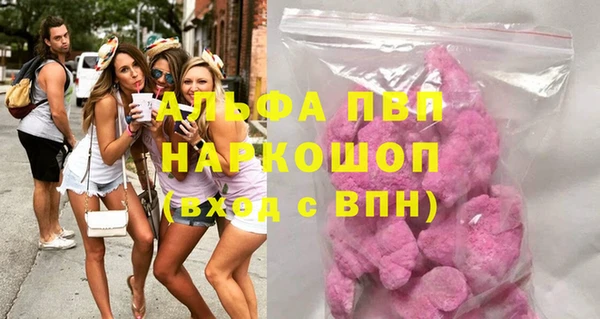 спайс Чекалин