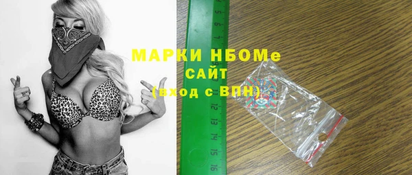 шишки Татарск