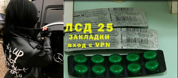 спайс Чекалин