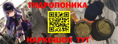 ECSTASY Абинск