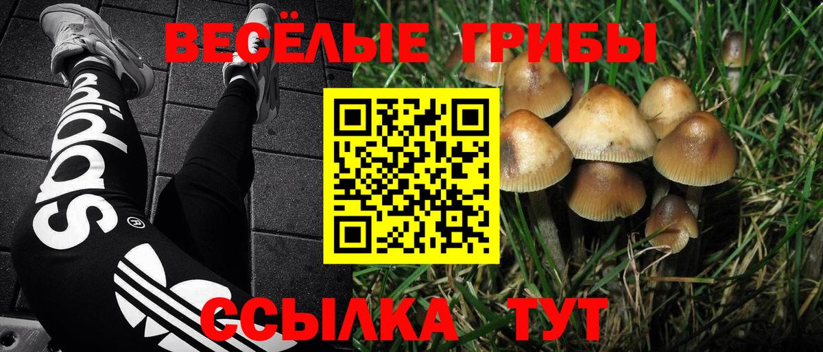 Псилоцибиновые грибы MAGIC MUSHROOMS Ангарск