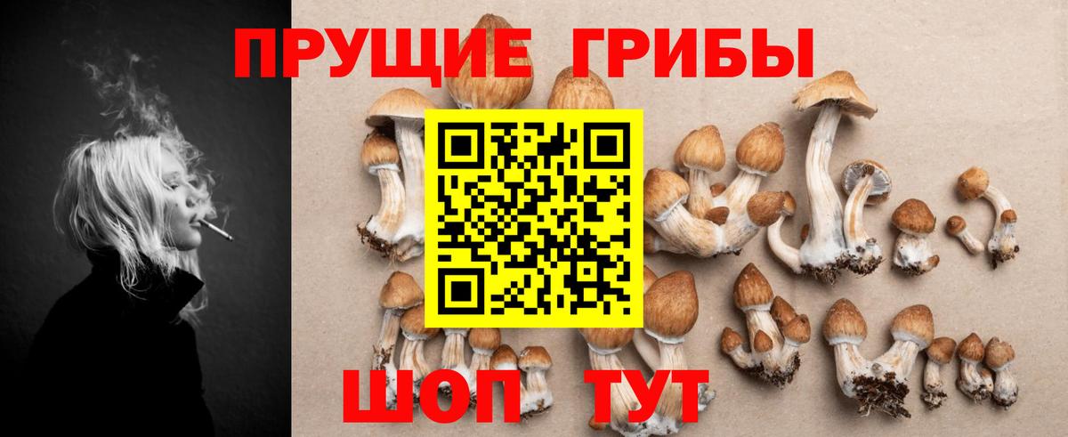 Псилоцибиновые грибы GOLDEN TEACHER  Вход с VPN  Ангарск 